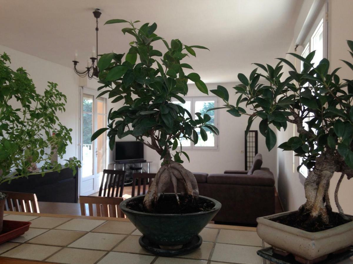 Appartement Salvaterra ソヴテール エクステリア 写真